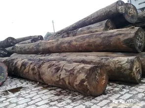 从传统技艺到未来工厂 现代木材加工技术与前沿方法探析