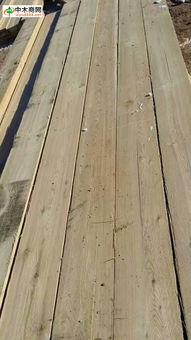 探索木材世界 从产品、价格到行业资讯的一站式指南